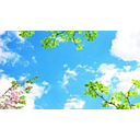 [IND-PR-00356] Set de 4pcs Kit Panel LED Cuadrado, p/Empotrar Decorativo con Imagen de Hojas Verdes, IP20, 40W, 2'x2' (600x600mm), 100-277Vac, Borde Blanco